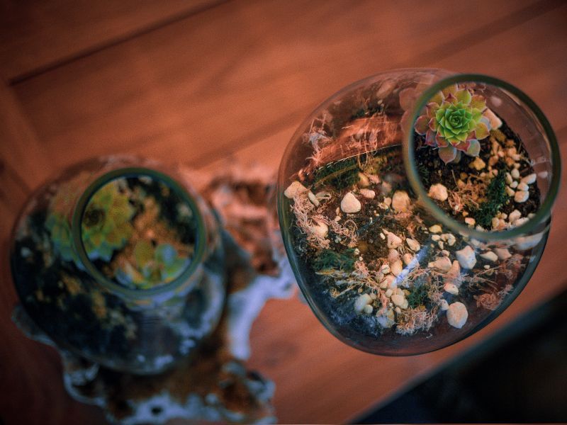 Teak Root Stand With Blown Glass Holder-Garden Furniture Centre-Ornaments,Root,LowRange,Under 100,Conservatory,Reclaimed Furniture,Indoor Accessories,Ornaments Accessories,Accessories,Storage Accessories-{collection_title}