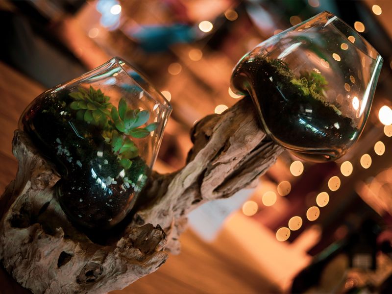 Teak Root Stand With Blown Glass Holder-Garden Furniture Centre-Ornaments,Root,LowRange,Under 100,Conservatory,Reclaimed Furniture,Indoor Accessories,Ornaments Accessories,Accessories,Storage Accessories-{collection_title}