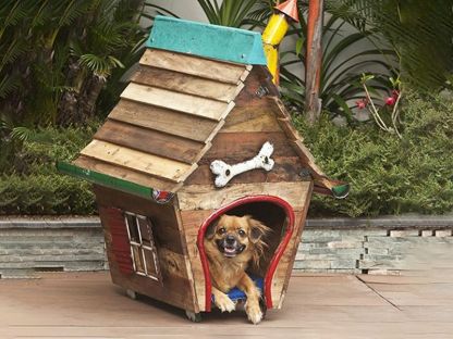 The Shack Dog House