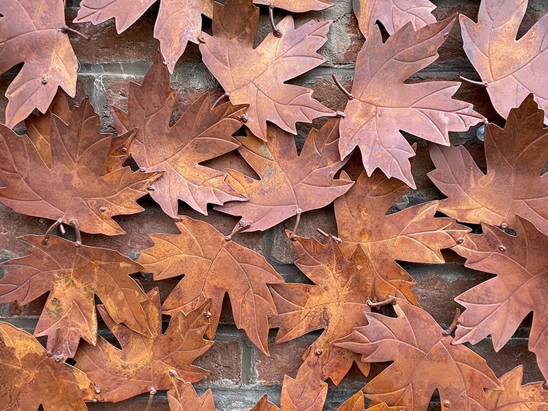 Falling Leaves Frame