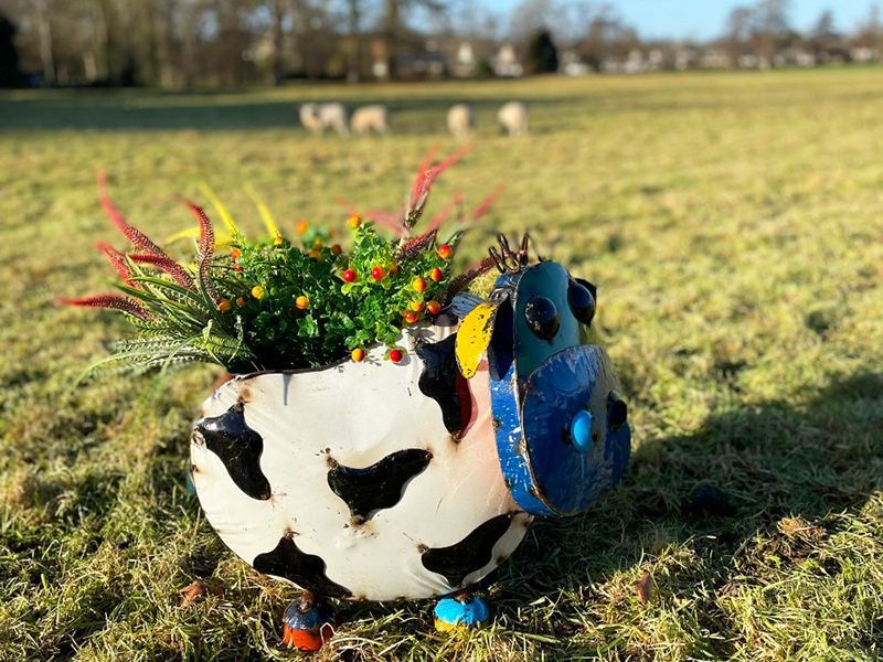 Barnyard Cow Planter