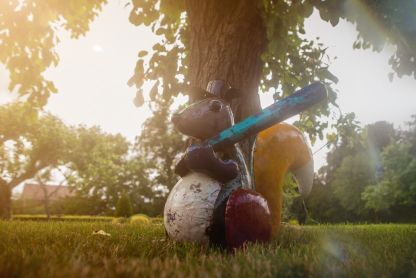 Stan The Baseball Squirrel