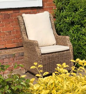 Willow Dining Armchair