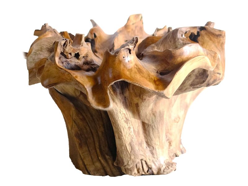 Vale Root Coffee Table 