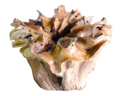 Vale Root Coffee Table 
