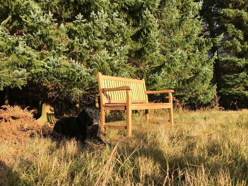 Westminster Bench 1.2m-Garden Furniture Centre-MidInstock,instock,MidRange,Active,park benches,Benches,Outdoor Furniture,Teak Benches Benches,Memorial Benches,Teak,Teak Benches-{collection_title}