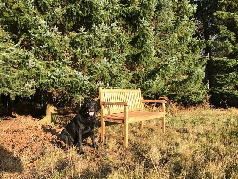 Westminster Bench 1.2m