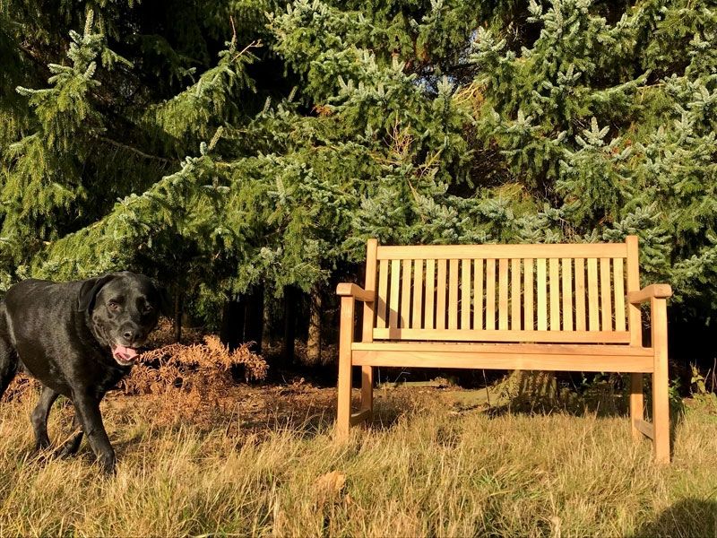 Westminster Bench 1.2m