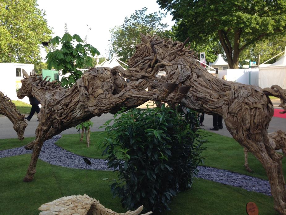 wild-wood-horeses