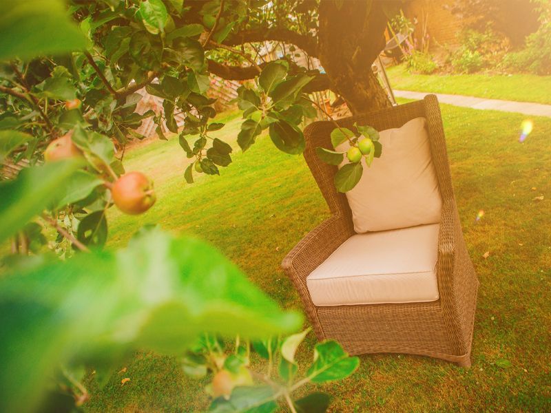 Martine Wing Back Chair-Garden Furniture Centre-MidRange,Outdoor Dining,Outdoor Furniture,Rattan Furniture,Rattan,Rattan Chairs-{collection_title}