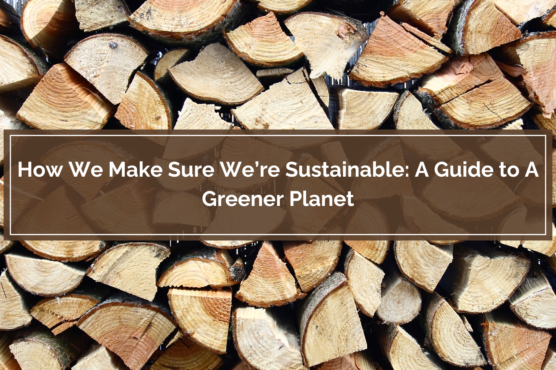 Read about how we power our work space sustainably 