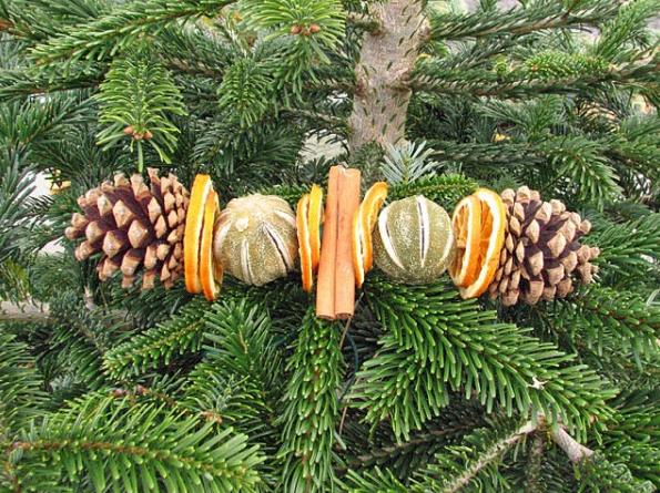 The Christmas trees needles contain loads of Vitamin C