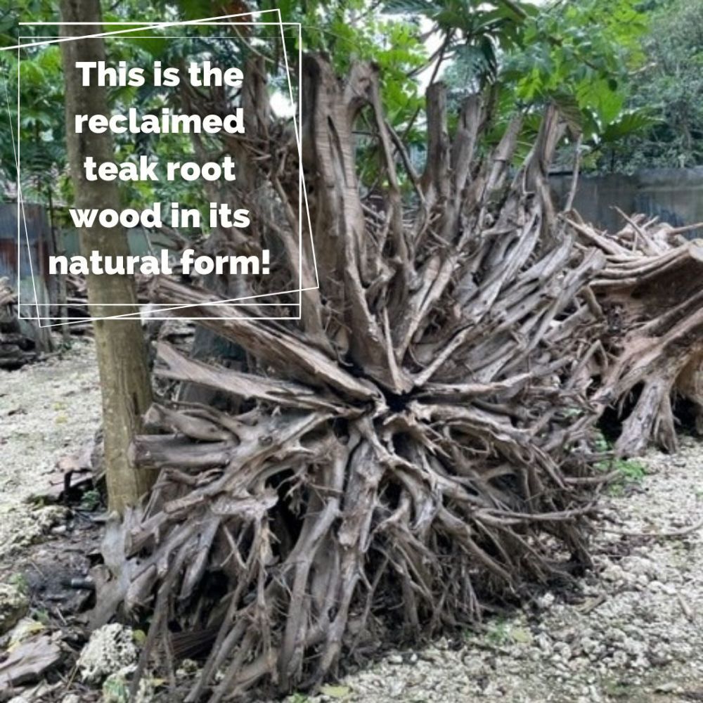 Wholesale Bluma Floor Lamp 4 Shades 