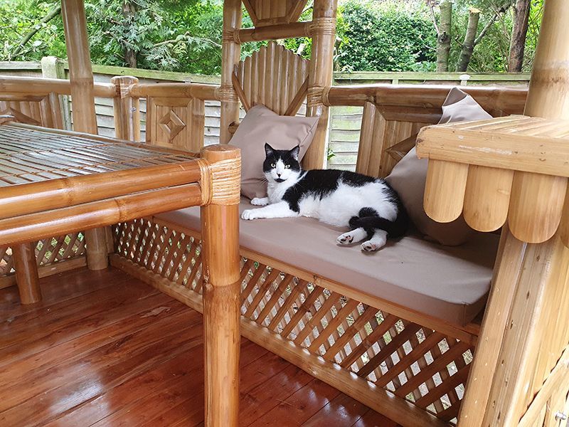 Wholesale Bamboo Gazebo Square 10ft X 11.6ft