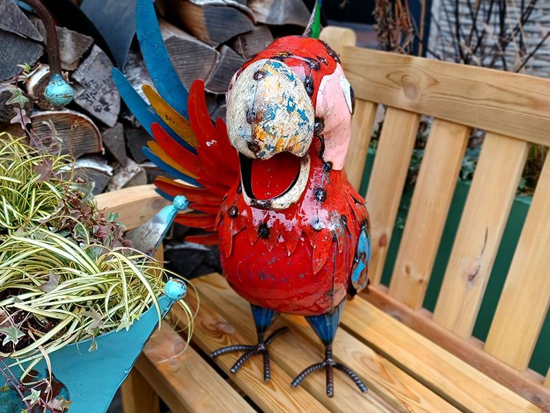 Wholesale Polly The Parrot Beverage Tub