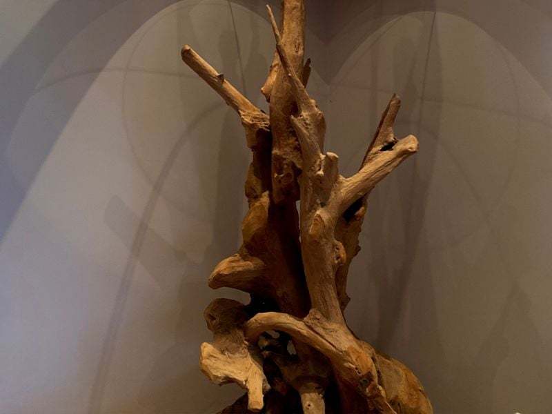 Wholesale Rustic Root Floor Lamp