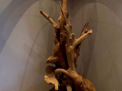 Wholesale Rustic Root Floor Lamp