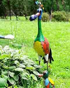 Wholesale Baz The Father Bird 