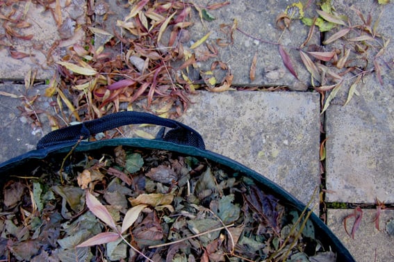 Leaves-and-Mulch