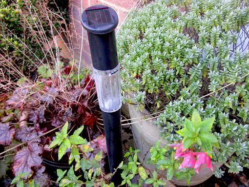 Solar-lights