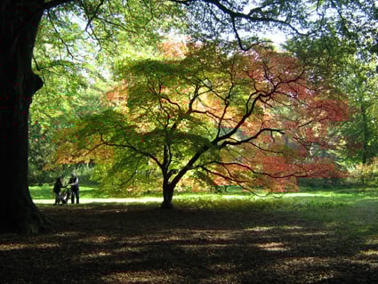Westonbirt Westonbirt
