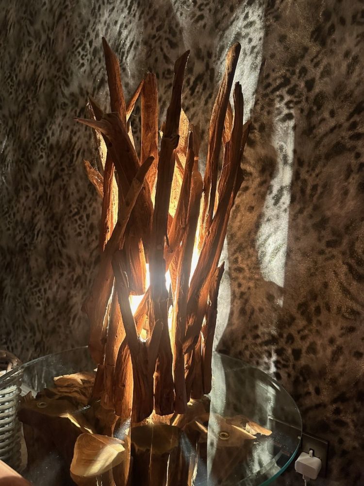 Wholesale Ace Table Spotlight