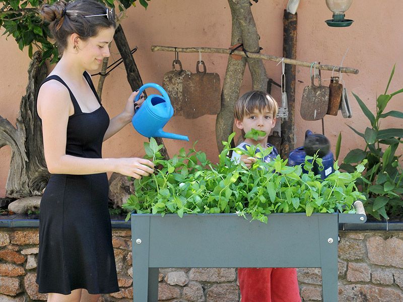 Wholesale Urban Garden Trolley | Anthracite