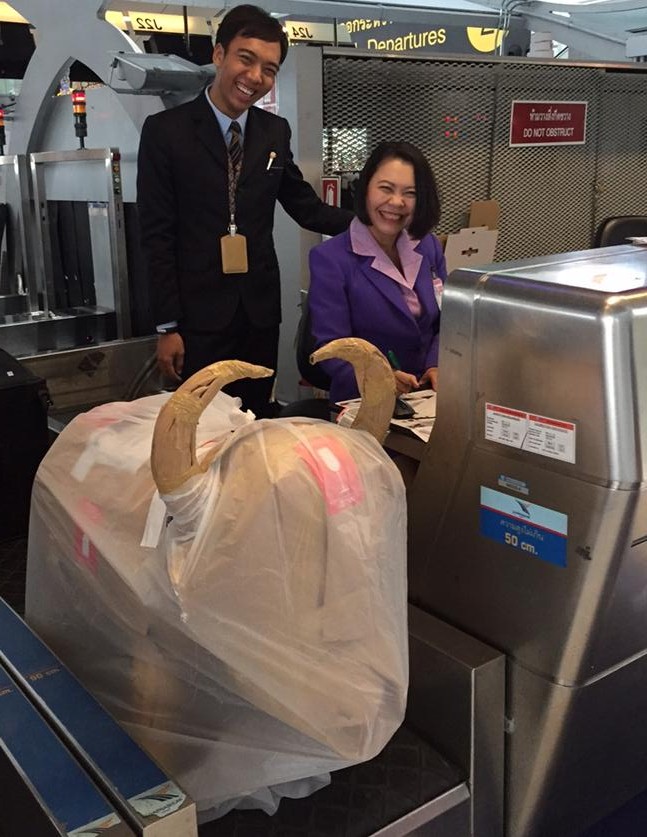 Loads of attention from airport staff