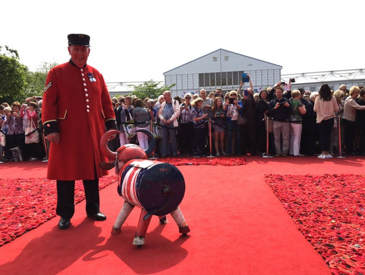 An audience in the poppies with Dave and Alfie