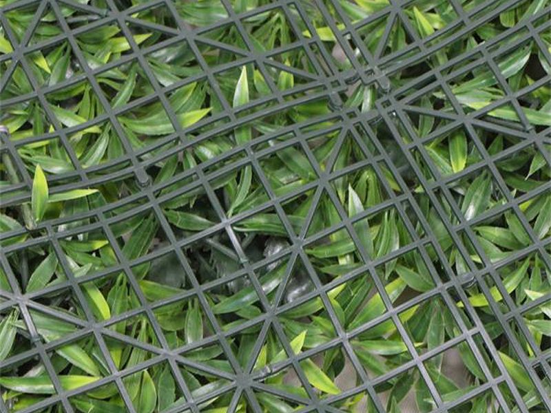 Wholesale Belgium | 1m x 1m