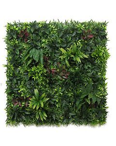 Wholesale Belgium | 1m x 1m