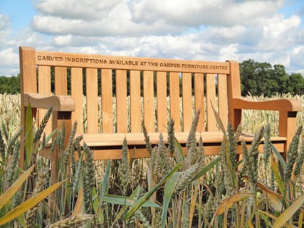 Bench Engraving