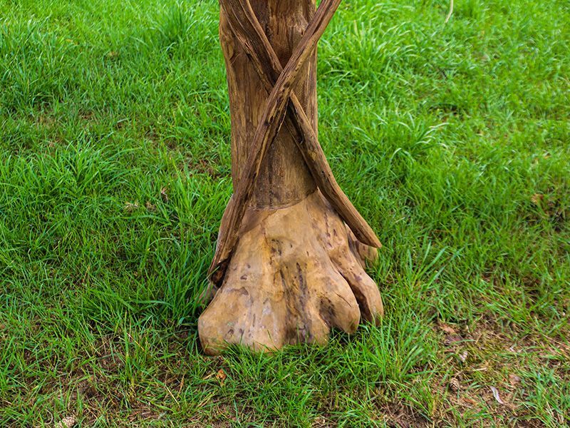 Wholesale Teak Bird House | Large