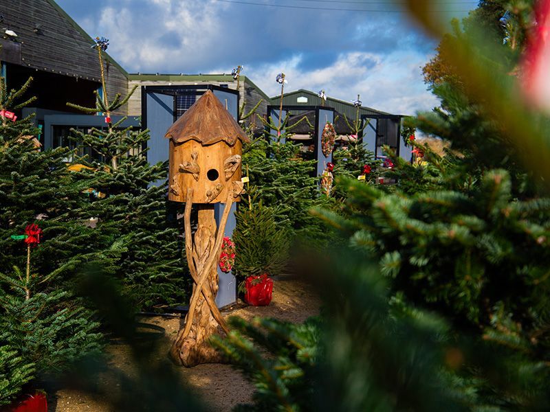 Wholesale Teak Bird House | Large