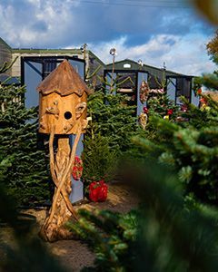 Wholesale Teak Bird House | Large