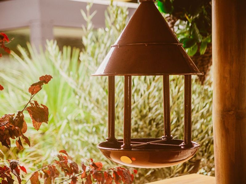 Wholesale Bird Cafe