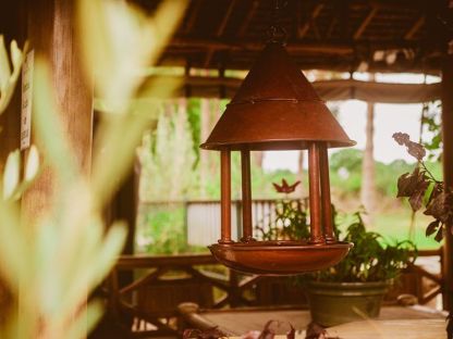 Wholesale Bird Cafe
