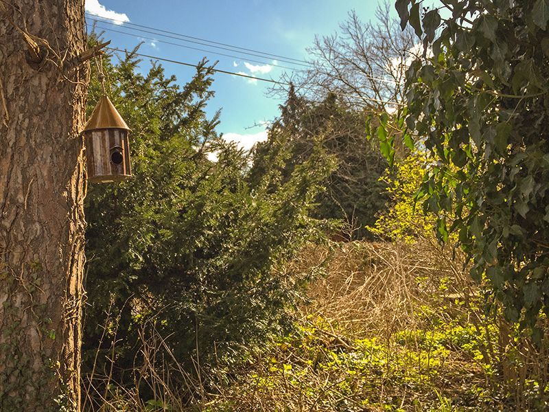 Wholesale Bird Shanty