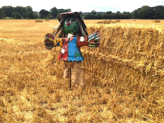 Wholesale Boo the Scarecrow Large
