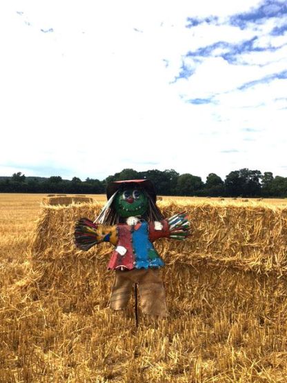 Wholesale Boo the Scarecrow Large