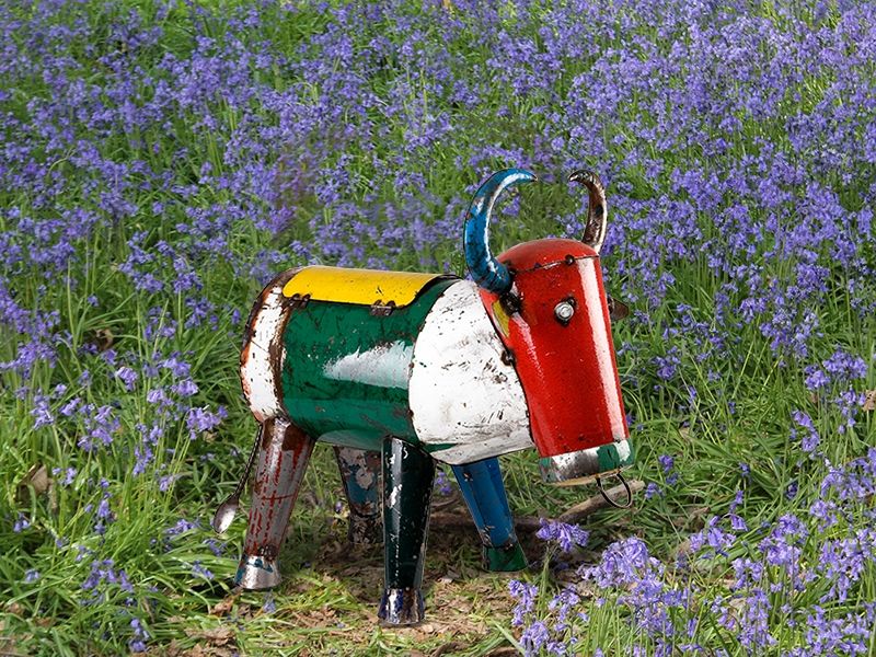 Wholesale Bruce the Bull Cooler Medium 