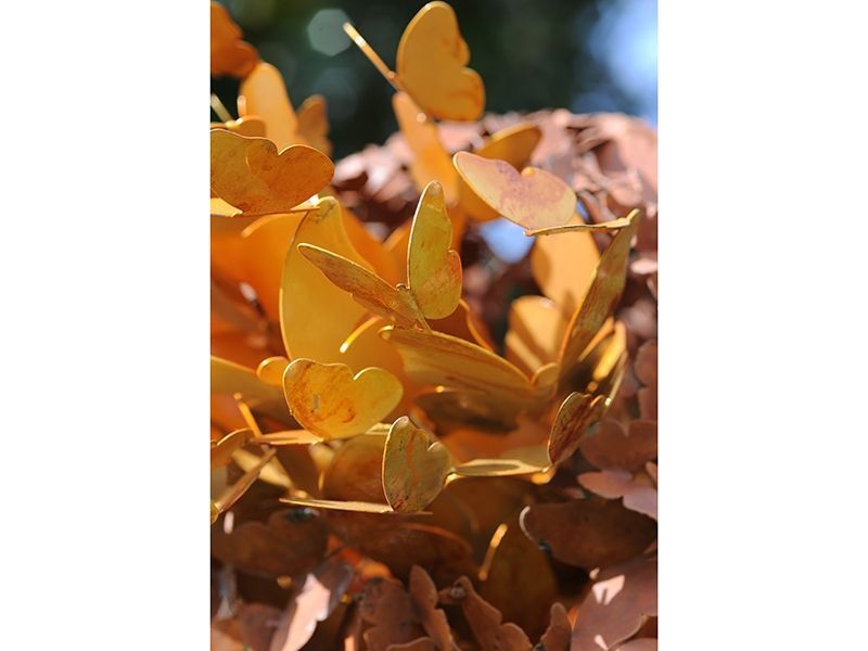 Wholesale Butterfly Evolution Rust