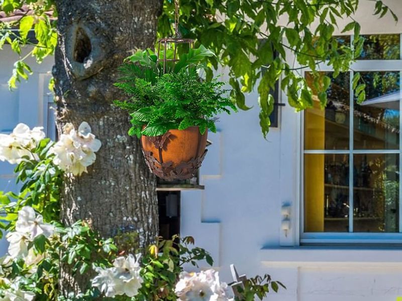 Wholesale Butterfly Hanging Planter