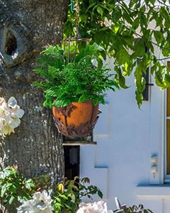 Wholesale Butterfly Hanging Planter