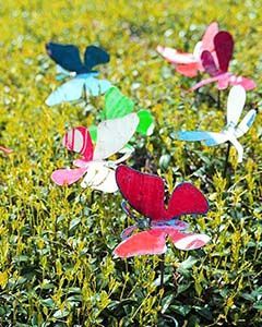 Wholesale Butterfly Stake Small - Set of 10