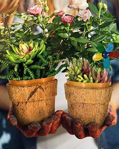 Wholesale Cocopots Spring Time (Set Of Three)