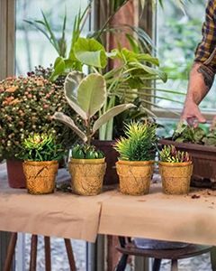 Wholesale Cocopots Mini Heaven (Set Of Four)