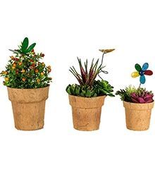 Wholesale Cocopots Spring Time (Set Of Three)