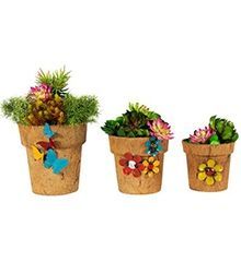 Wholesale Cocopots Summer Of Love  (Set Of Three)
