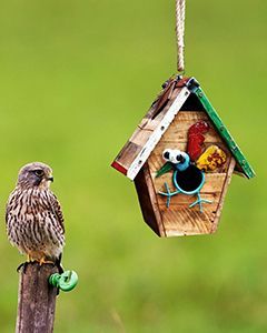Wholesale Walk The Line Bird House